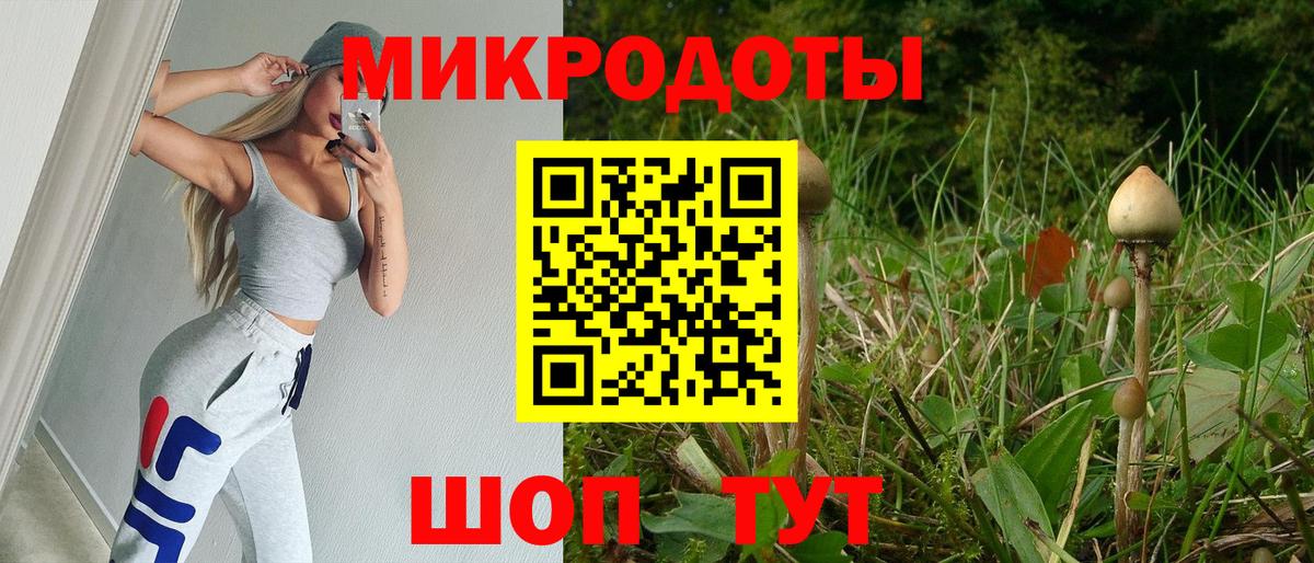 Волгодонск  Псилоцибиновые грибы Psilocybine cubensis  Вход с VPN 